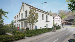 Feldmann-Projekte-Neubau-Siedlung-Kirschgarten-Remetschwil-morph-3D-Render-Aussen